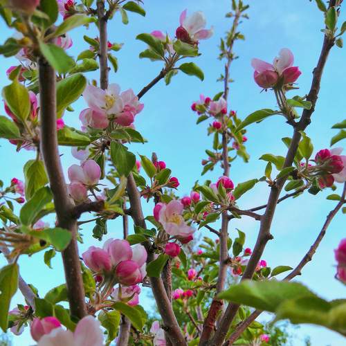 Photo #6589155