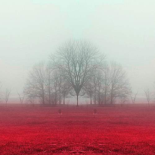 Photo #6589299