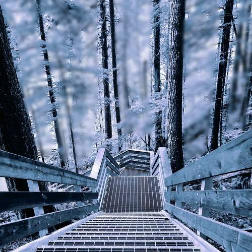 Photo #6589300