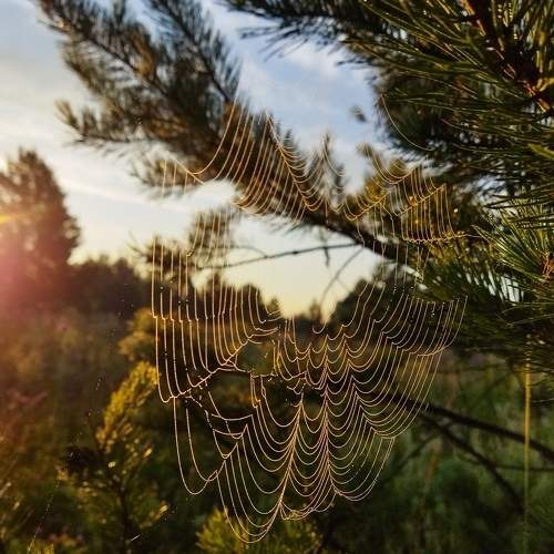 Photo #6589329