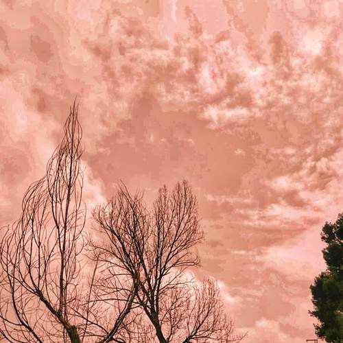 Photo #6589377