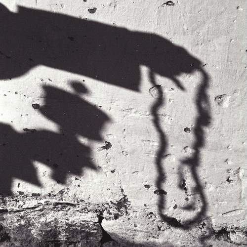 Photo #6589524