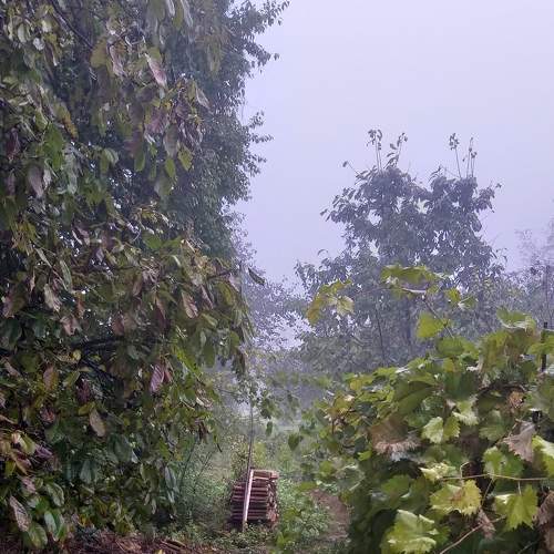 Photo #6589540