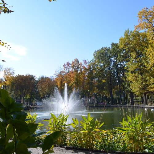 Photo #6589541