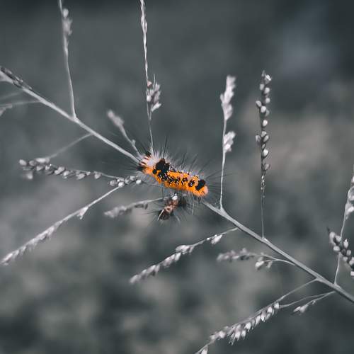 Photo #6589563