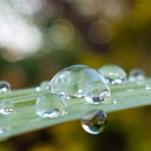 Photo #6589678