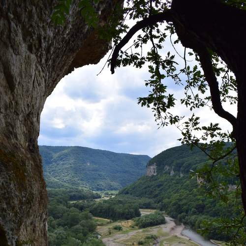 Photo #6589706