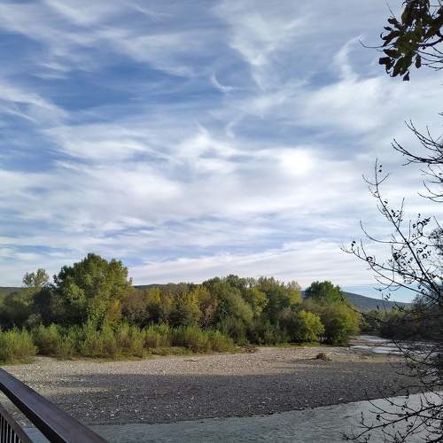 Photo #6589709