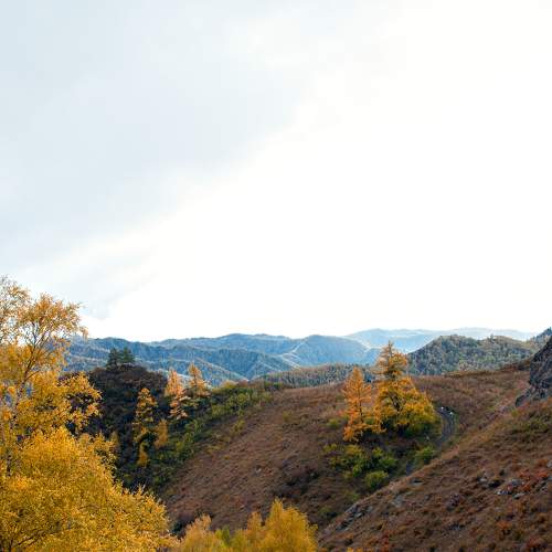Photo #6589755