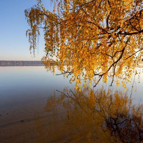 Photo #6589789