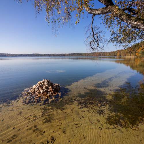 Photo #6589797