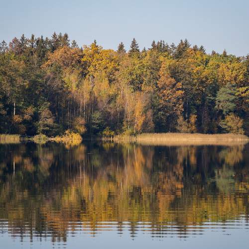 Photo #6589817