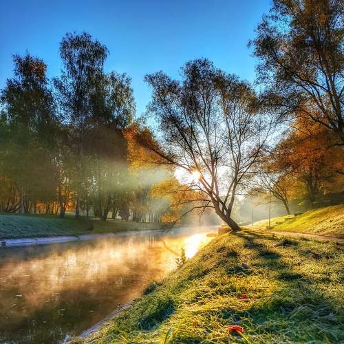 Photo #6589912