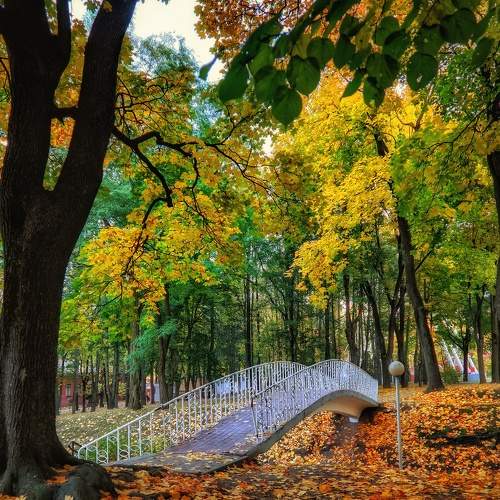 Photo #6589920