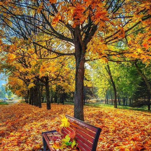 Photo #6589926