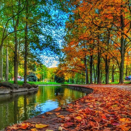 Photo #6589928