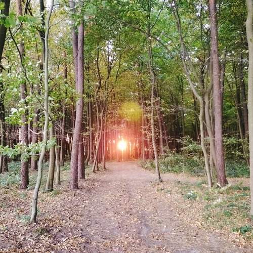 Photo #6590702