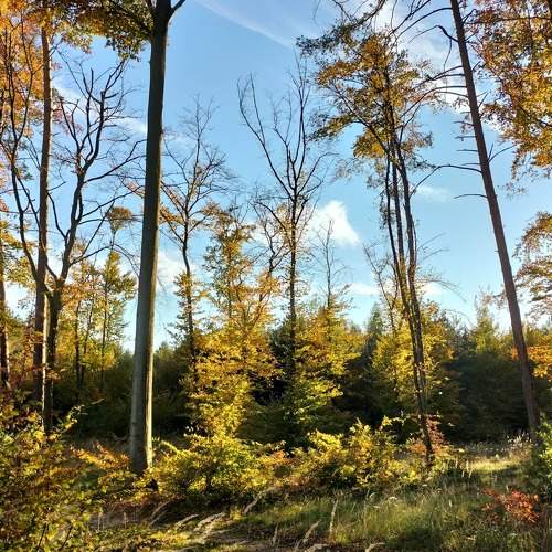 Photo #6590709