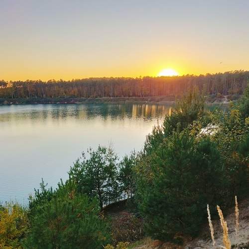 Photo #6590716