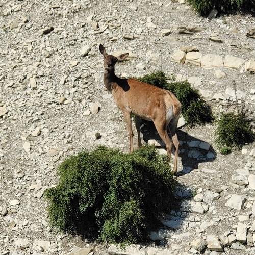 Photo #6591132