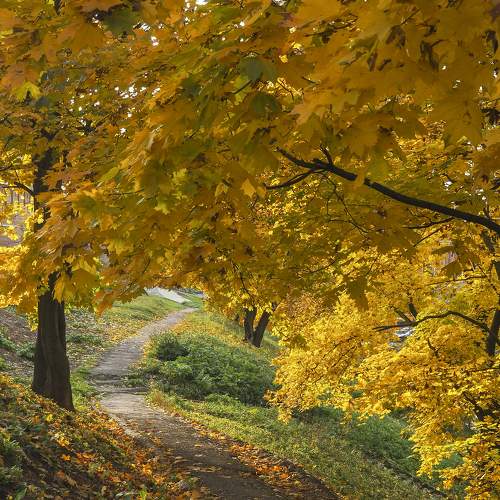 Photo #6591180