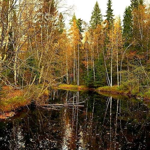 Осень в Карелии