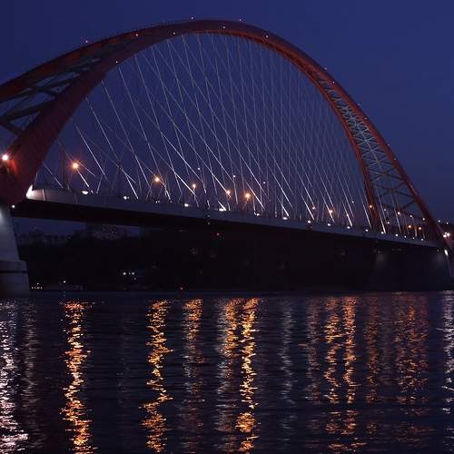 Photo #6591309