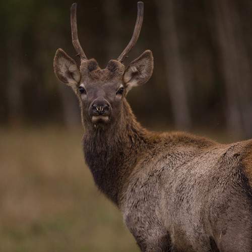 Photo #6591411