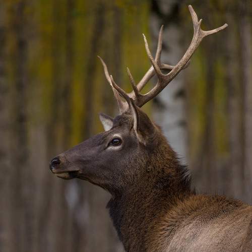 Photo #6591412
