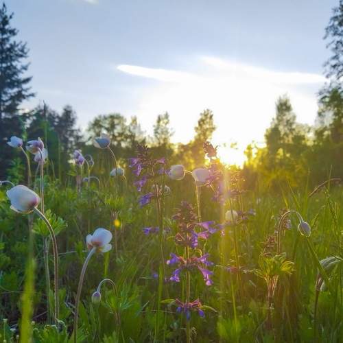 Photo #6591919