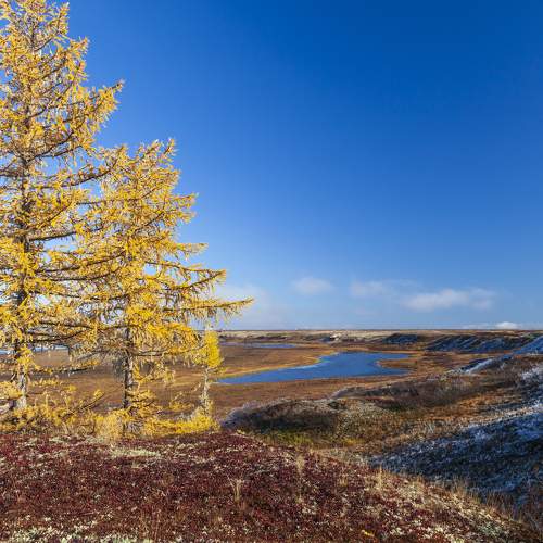 Фотография #6591981