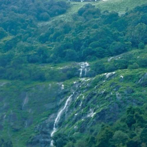 Photo #6592466