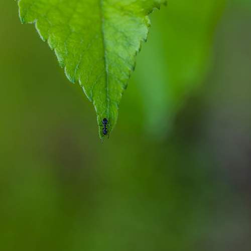 Photo #6592784