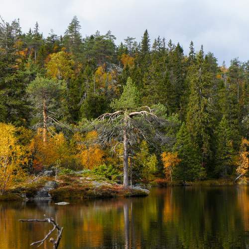 Photo #6592854