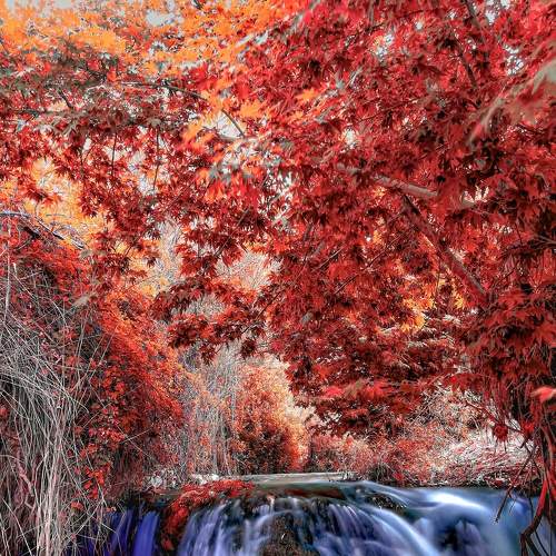 Autumn colors