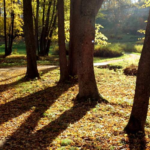 Photo #6592977