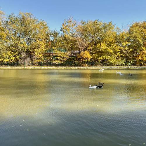 Photo #6593044