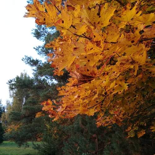 Photo #6593048