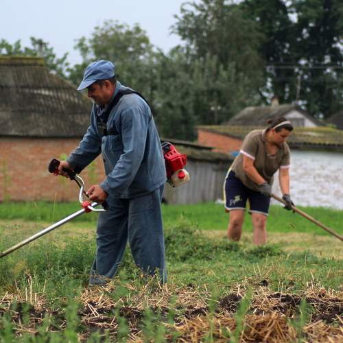 Photo #6593049