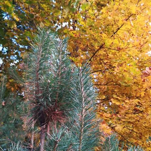 Photo #6593052