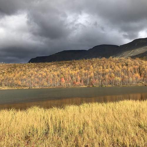 Photo #6593065