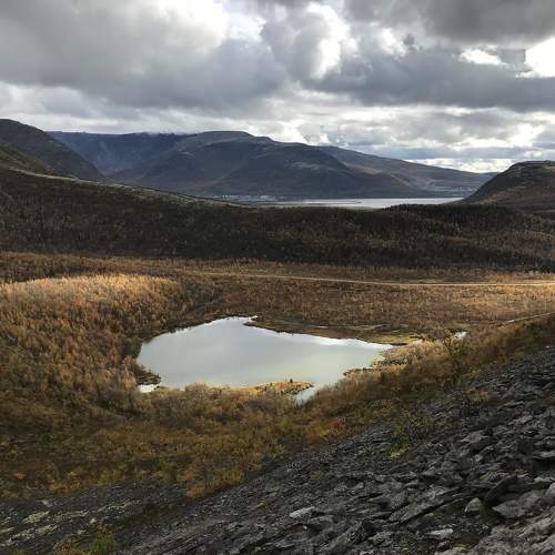 Photo #6593074