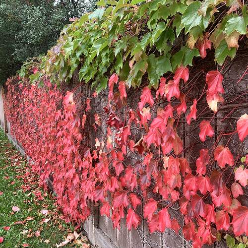 Photo #6593441