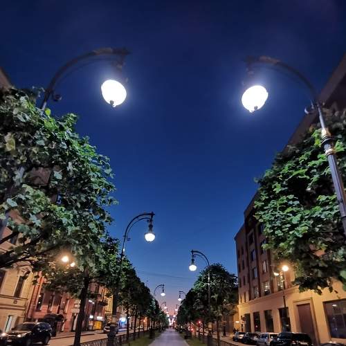 Photo #6593494