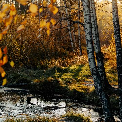 Photo #6593603