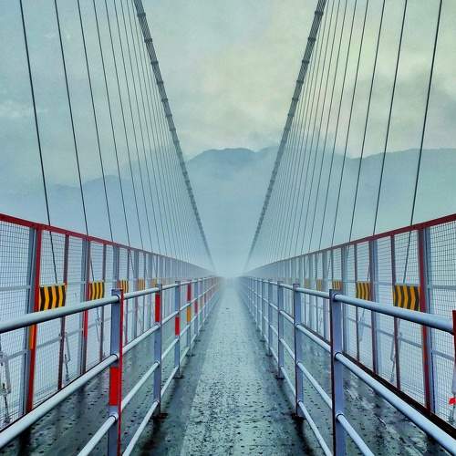 Photo #6593802