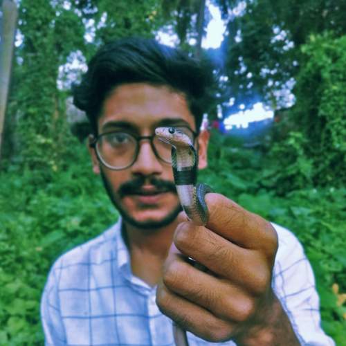 Snake rescuer