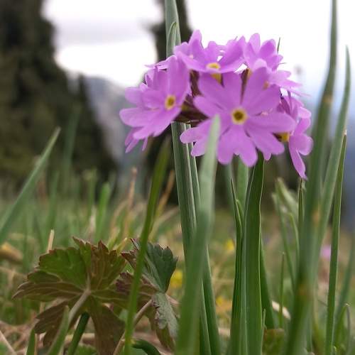 Photo #6593884