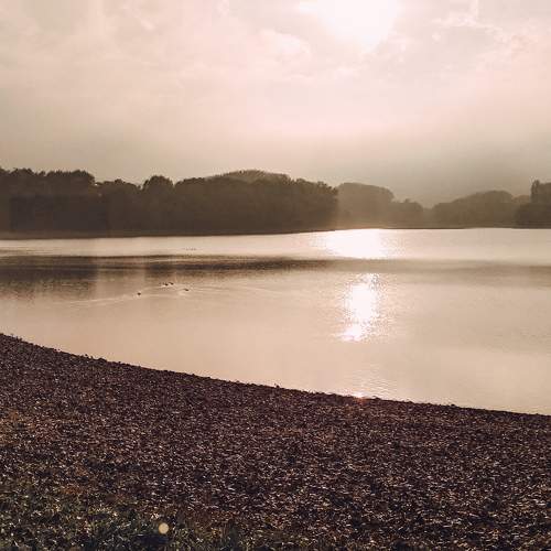 Photo #6593992