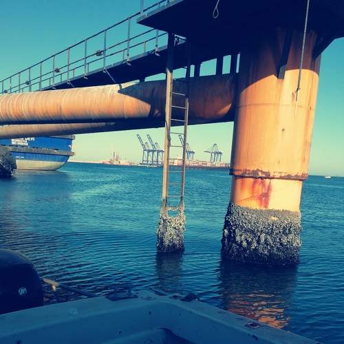 Photo #6594089